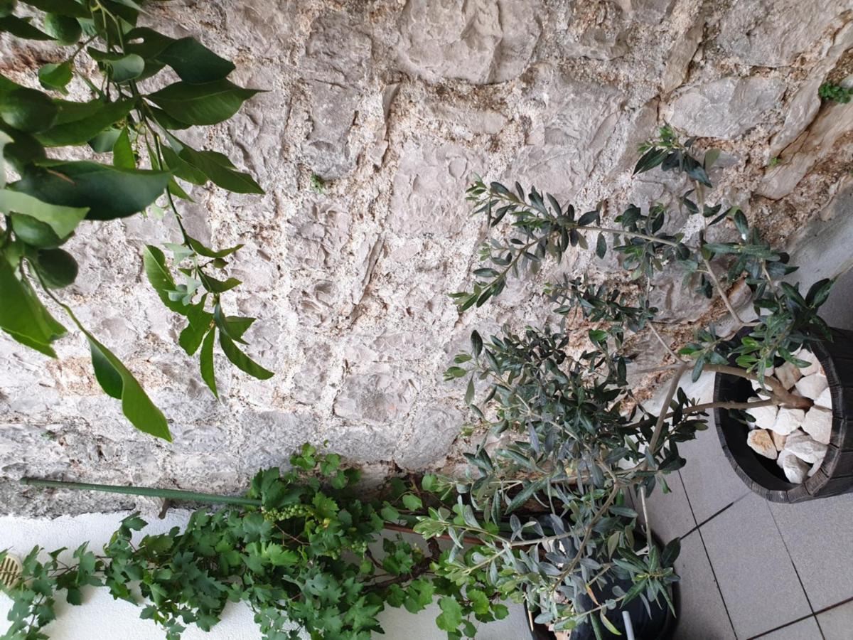 Hotel Lemon Tree à Donji Seget Extérieur photo