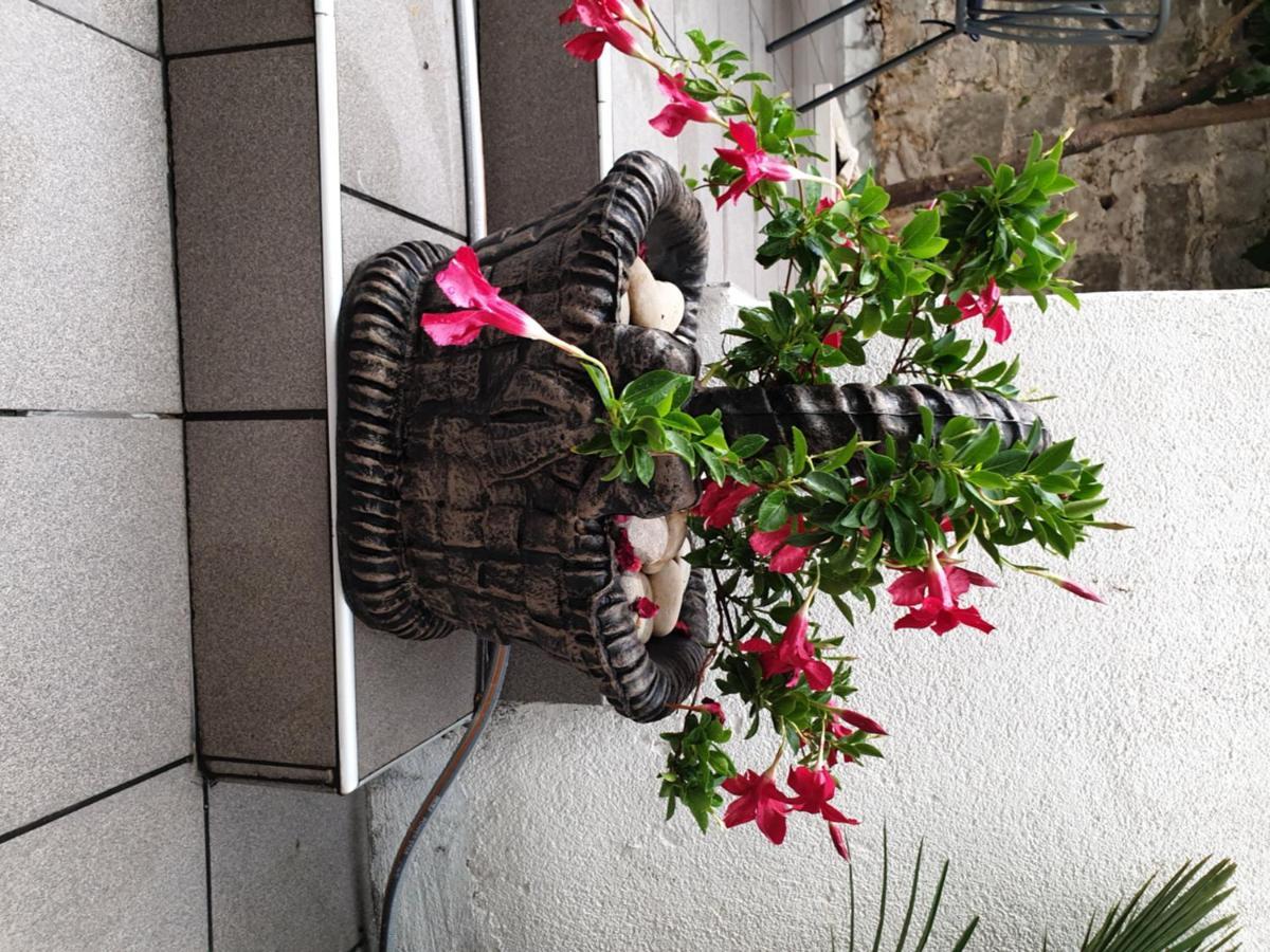 Hotel Lemon Tree à Donji Seget Extérieur photo